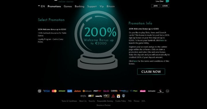 True Fortune Casino Login